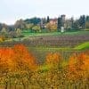 Friuli Wine Tour