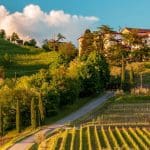 Friuli - Venezia Giulia Wine Tour
