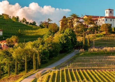 Friuli - Venezia Giulia Wine Tour