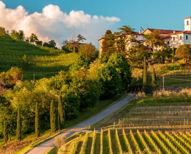 Friuli – Venezia Giulia Wine Tour