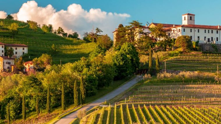 friuli wine tour