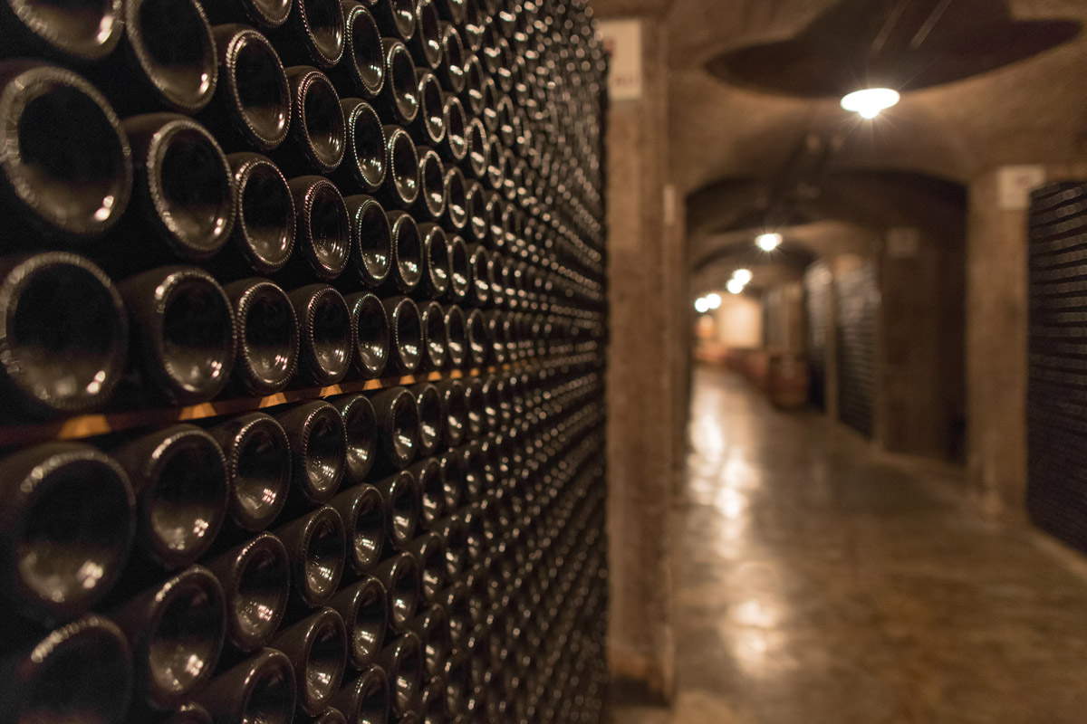 Ca Del Bosco cellar