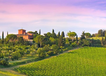 Italy Food & Wine Tour