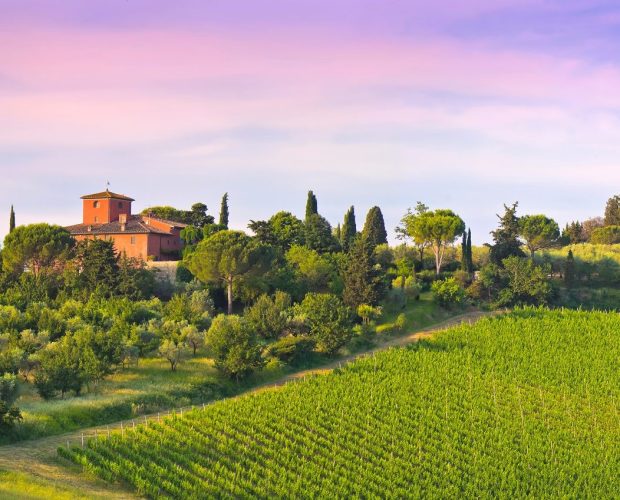 Private Wine Tours in Italy