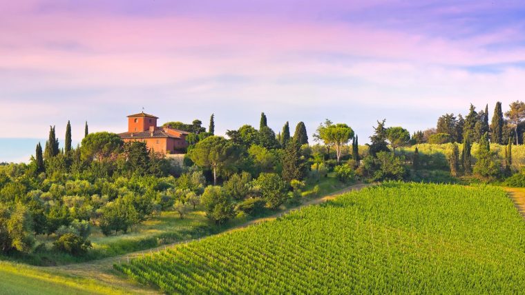 itay-wine-tours