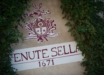 lake-maggiore - tenute-sella-winery