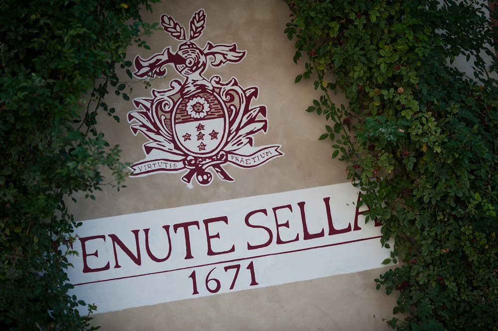 lake-maggiore - tenute-sella-winery