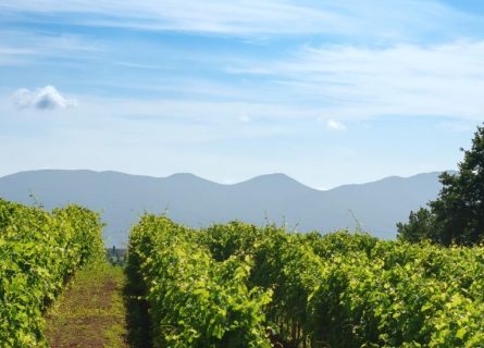 lazio wine region