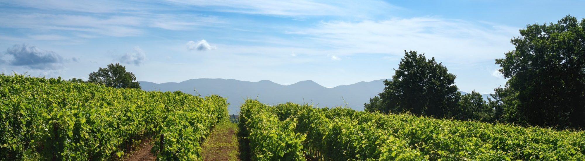 Former Barca Youth Patric Finds Form In New Role At Lazio, image size:2000x550