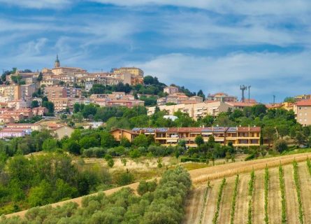 le-marche - le marche