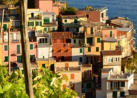 Liguria Wine Region
