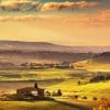 Super Tuscan Wine Tour