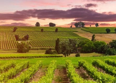 Maremma Wine Tour