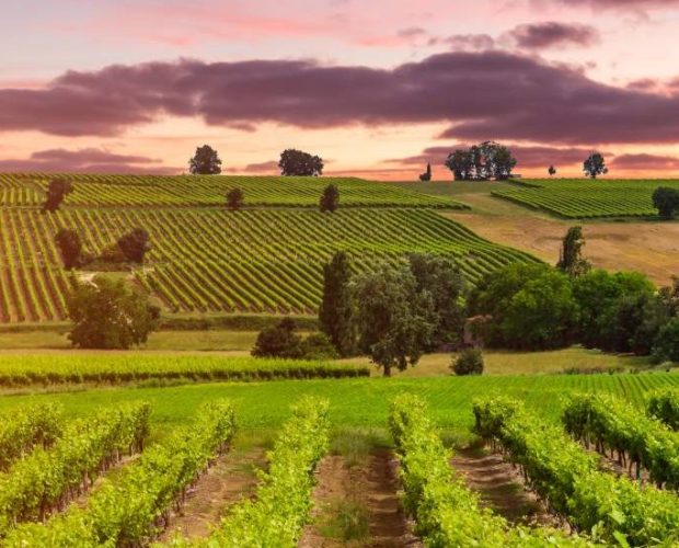 Maremma Wine Tour