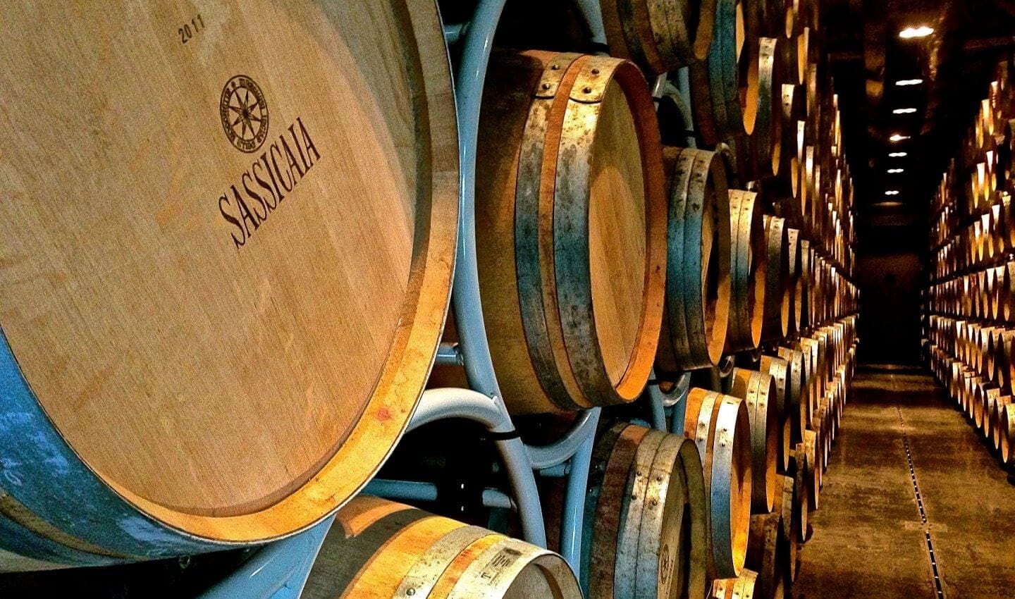 Sassicia winery