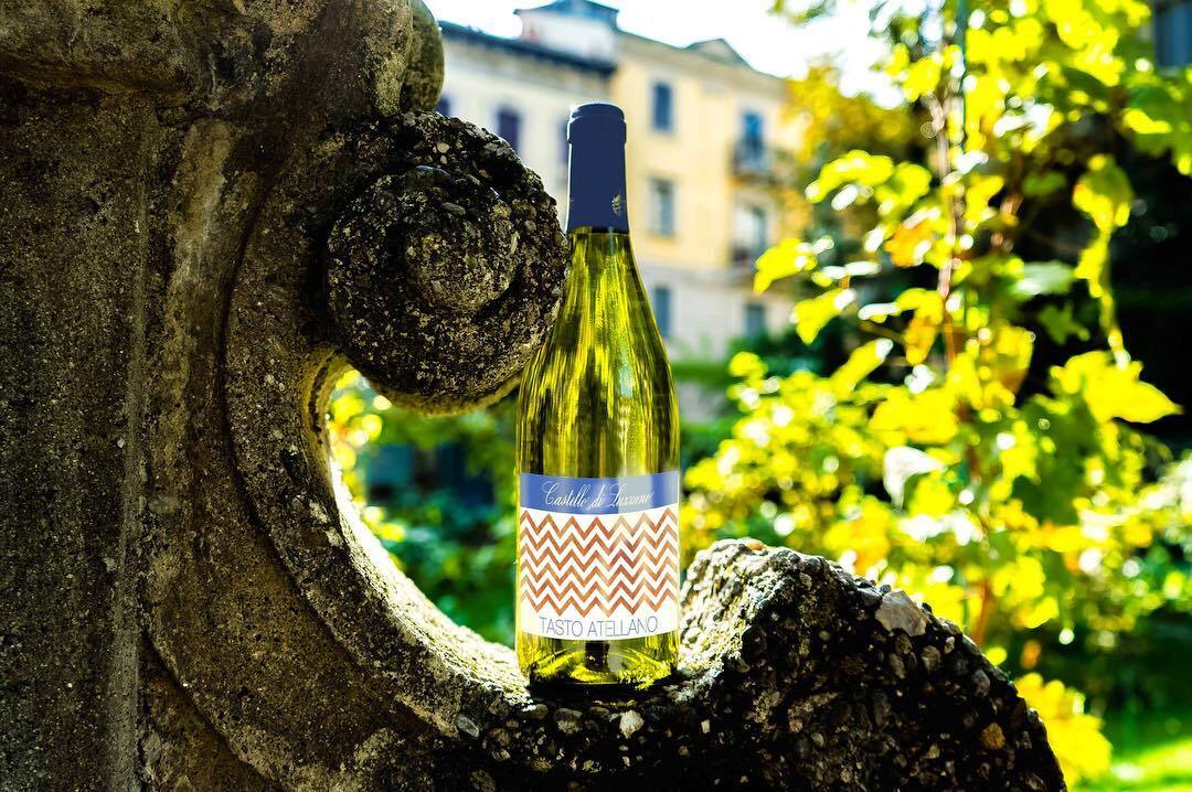 La Vigna di Leonardo