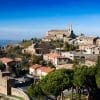 Brunello di Montalcino Wine Tour