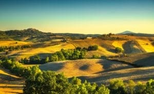 montepulciano photo montepulciano - montepulciano-pictureque-vineyards