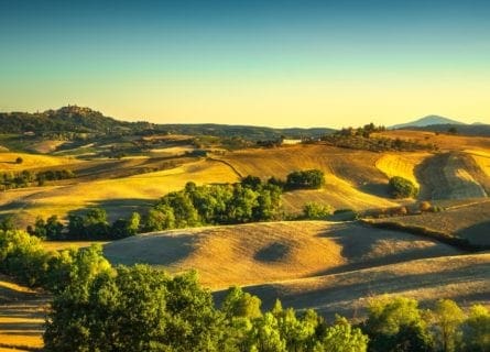 montepulciano - montepulciano-pictureque-vineyards