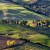 Montepulciano Wine Tours