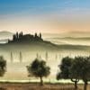 Tuscany Olive Oil Tour
