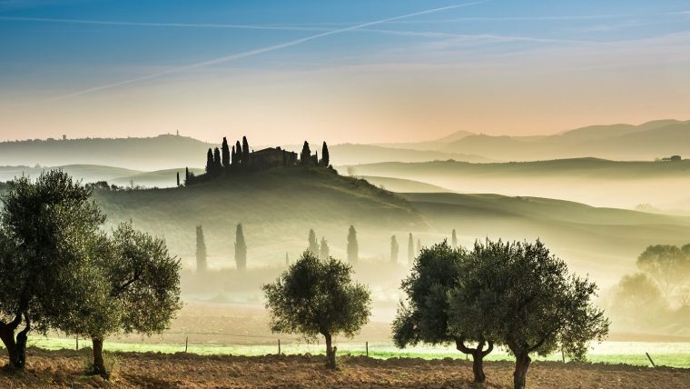 Olive Oil & Wine
