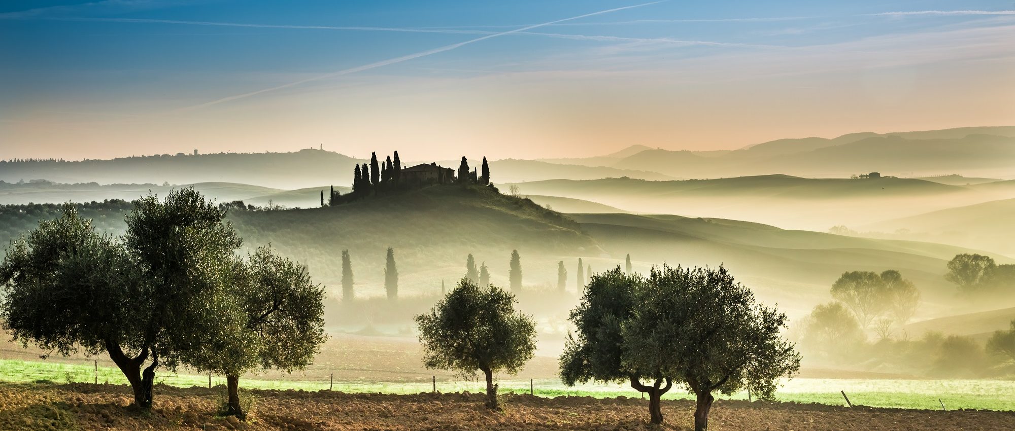 Tuscany Olive Oil Tour Private Tasting & Gourmet Experience