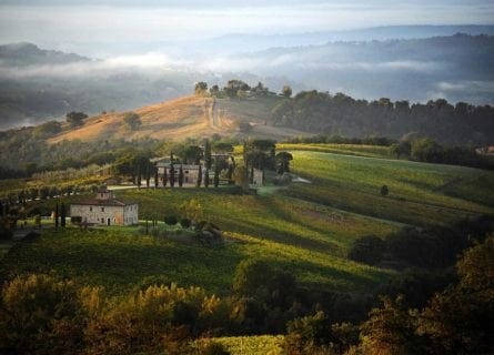 orvieto - decugnano-barbi-winery