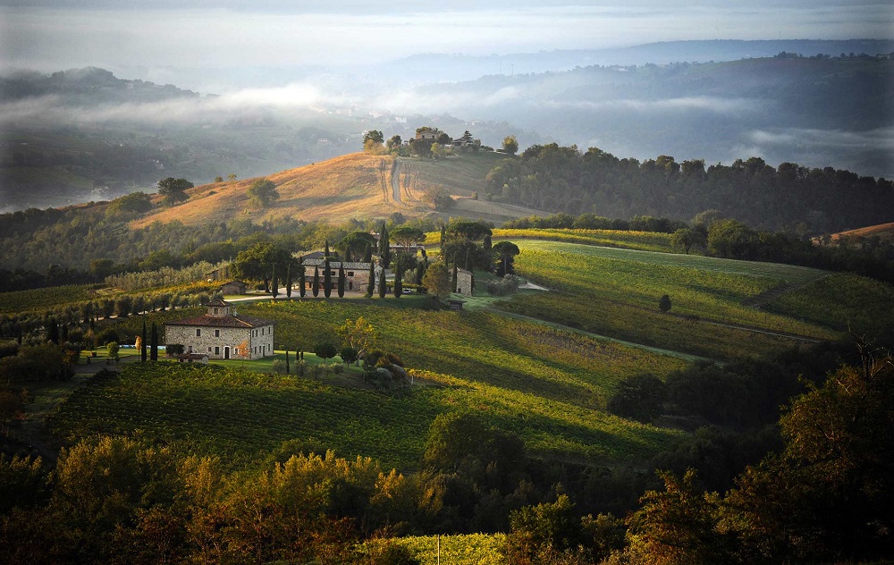orvieto - decugnano-barbi-winery