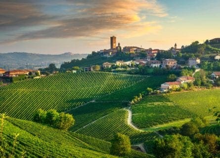 piedmont - barbaresco-region