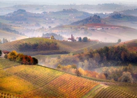 piedmont - barolo-docg