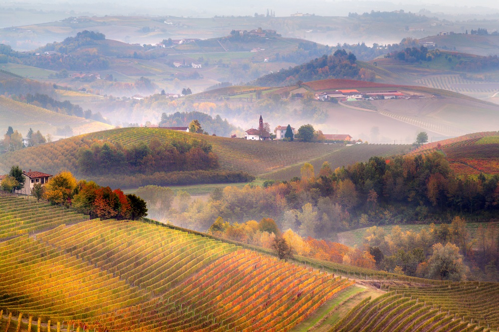 piedmont - barolo-docg
