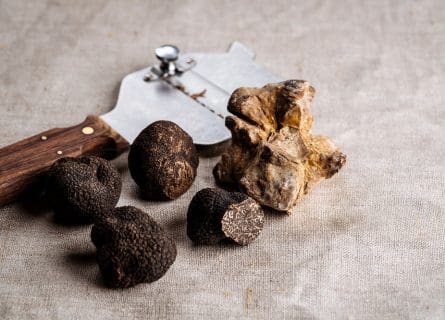 The Exquisite and Rare Black Truffle, a Culinary Jewel of Piedmont