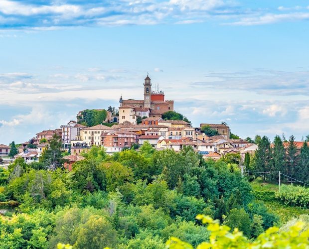 Piedmont Wine Region Guide
