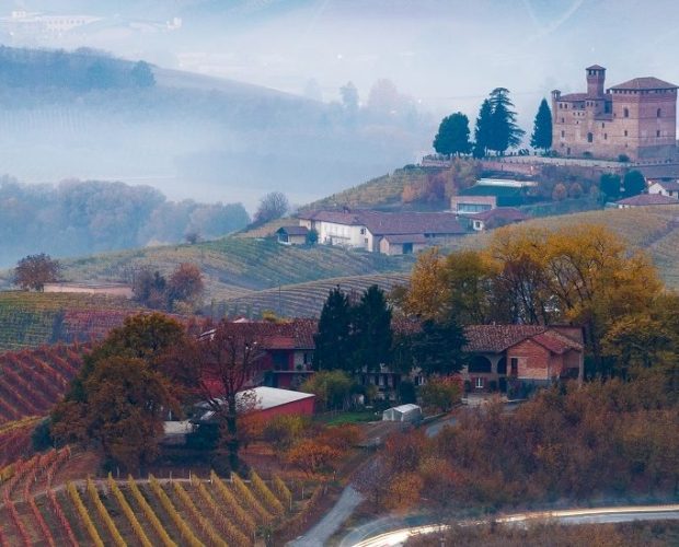 Private Wine Tour in Piedmont