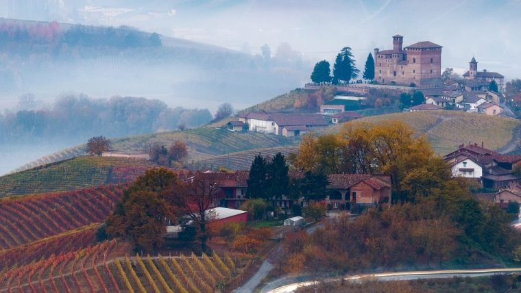 piedmont - piedmont wine tour 2