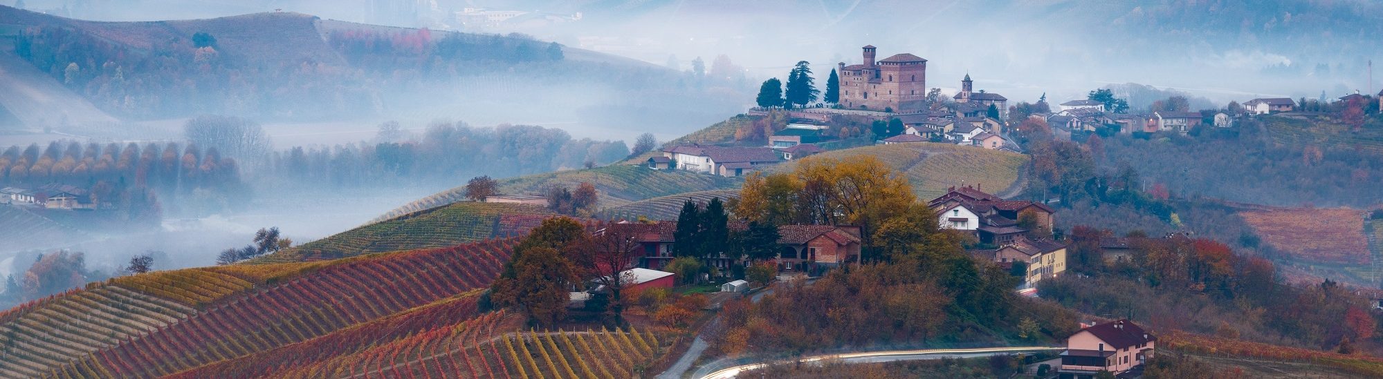 piedmont - piedmont wine tour 2