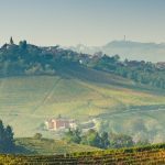 Piedmont Wine Tour