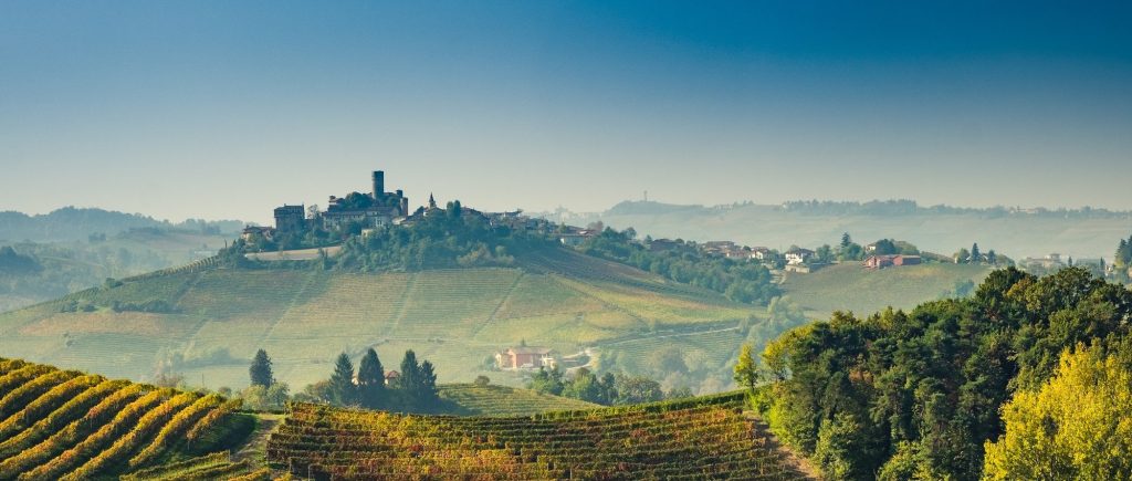 Piedmont's rolling hills, and vineyards
