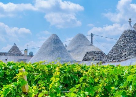 puglia-wine-region