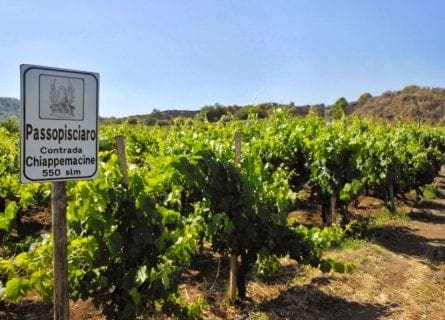 Passopisciaro wine estate on the slopes of Mt. Etna