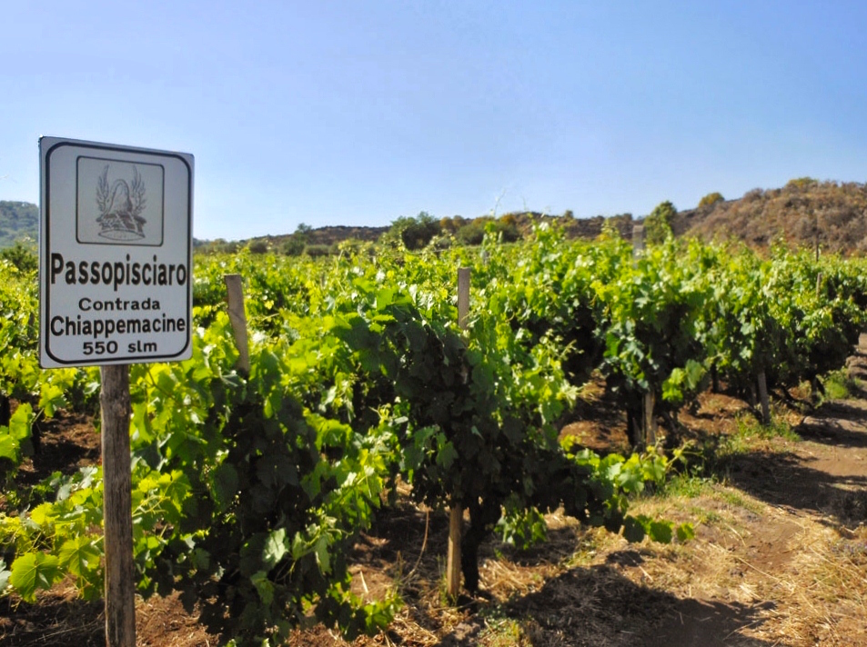 Passopisciaro wine estate on the slopes of Mt. Etna