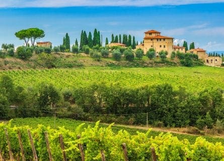 Stunning Chianti countryside