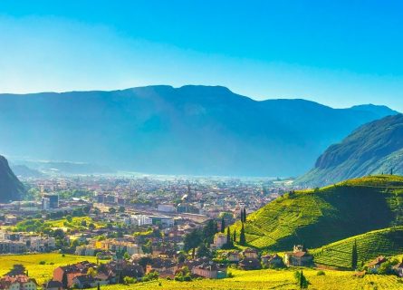 Trentino wine region
