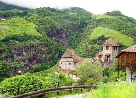 Vineyards in Bolzano