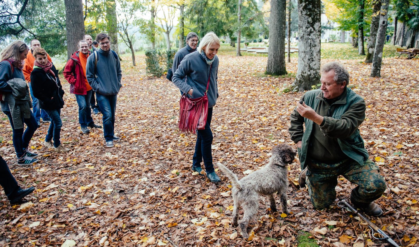 Truffle hunting