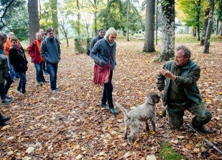 Truffle hunting