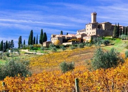 brunello-di-montalcino-wine-region