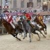 Palio di Siena Palio di Siena