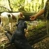 Truffle Hunting